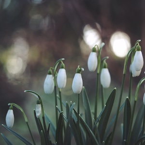 foto yin yoga workshop